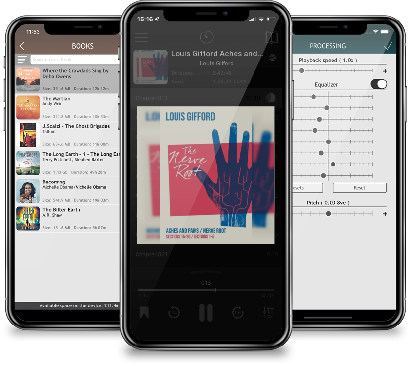 Audiobook Louis Gifford Aches and Pains Book Two: Aches and Pains Sections 15-20 Nerve Root Sections 1-5 by Louis Gifford