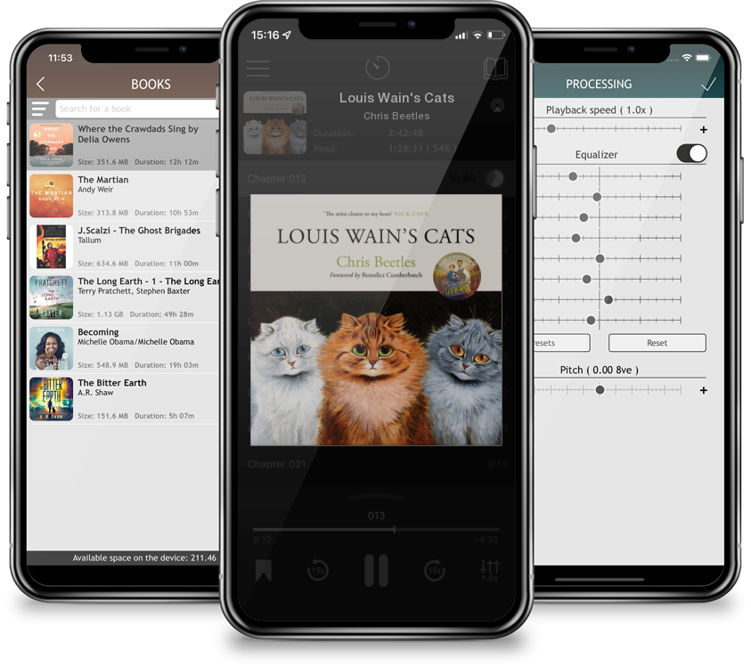 Audiobook Louis Wain\'s Cats by Chris Beetles