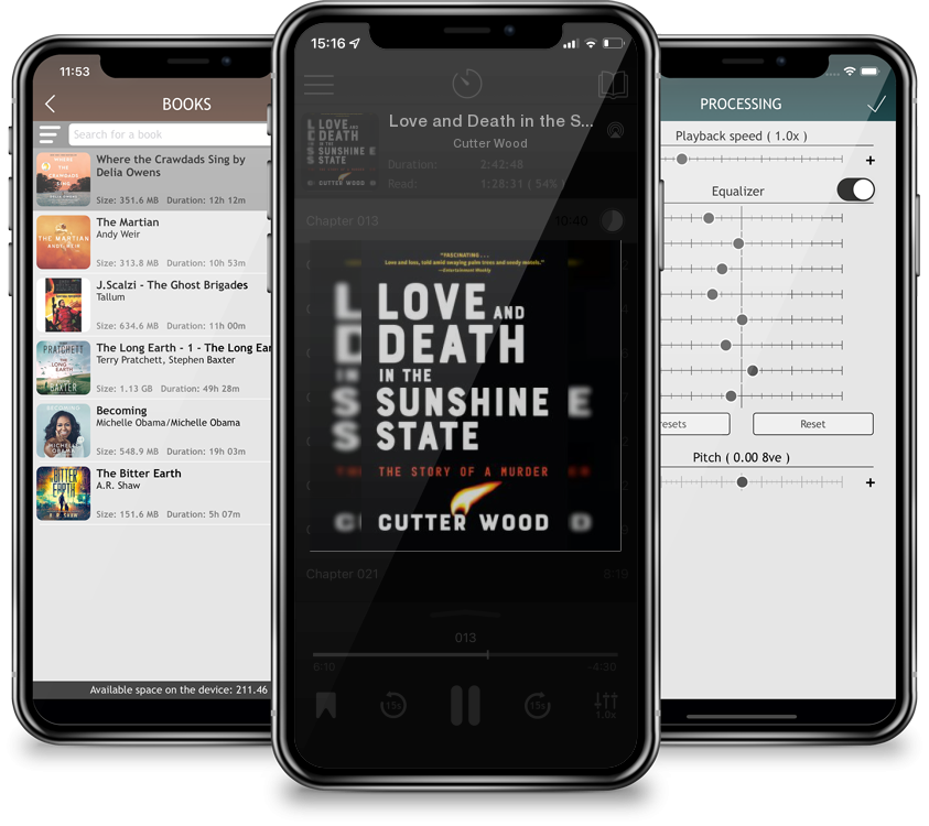 Audiobook Love and Death in the Sunshine State: The Story of a Murder by Cutter Wood