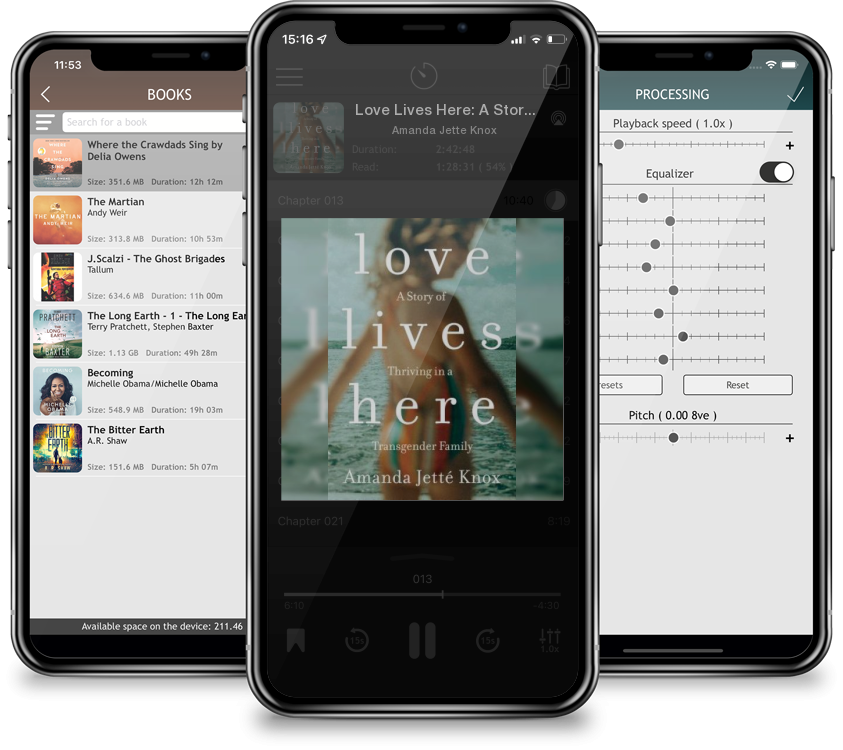 Audiobook Love Lives Here: A Story of Thriving in a Transgender Family by Amanda Jette Knox