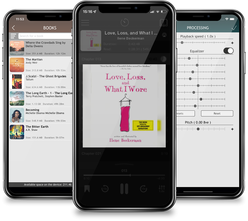 Audiobook Love, Loss, and What I Wore by Ilene Beckerman