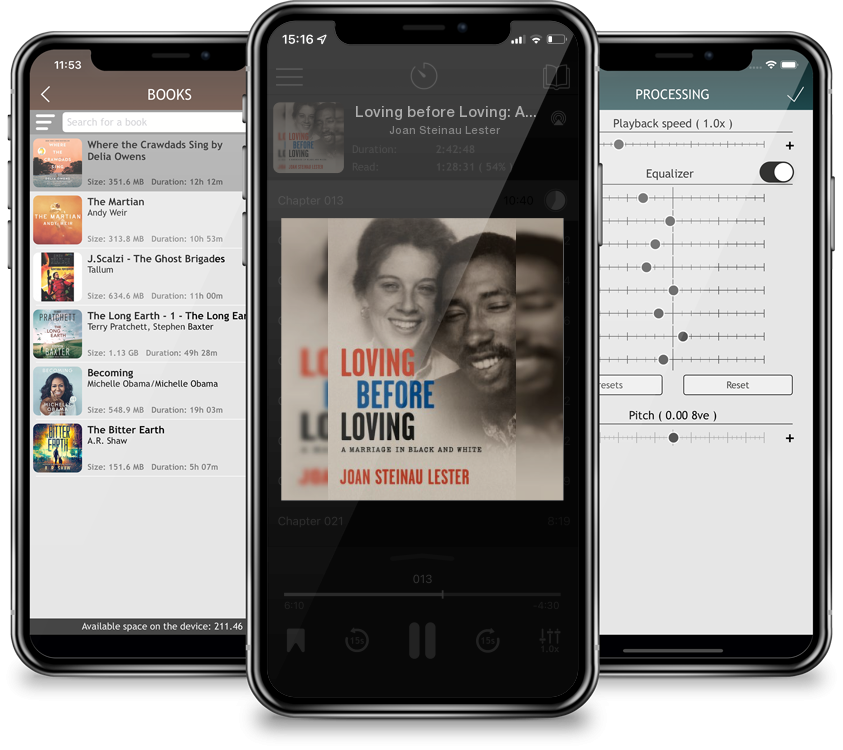 Audiobook Loving before Loving: A Marriage in Black and White by Joan Steinau Lester