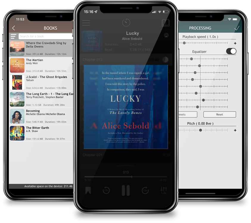 Audiobook Lucky by Alice Sebold