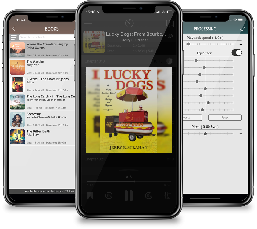 Audiobook Lucky Dogs: From Bourbon Street to Beijing and Beyond by Jerry E. Strahan