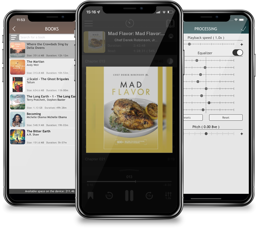 Audiobook Mad Flavor: Mad Flavor: 100+ Recipes To Spice Up Your Everyday Cooking by Chef Derek Robinson, Jr.
