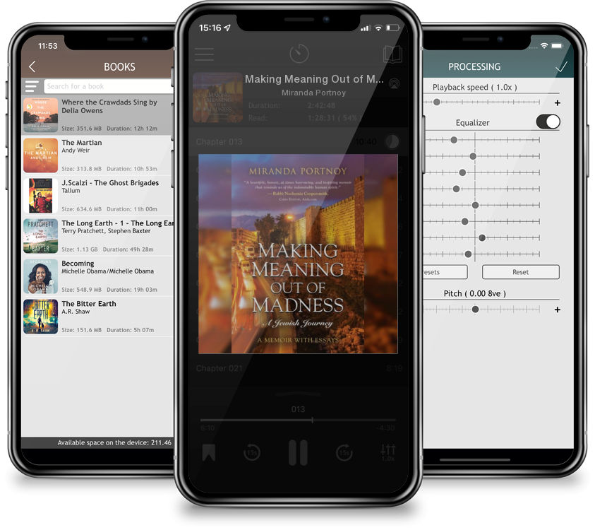 Audiobook Making Meaning Out of Madness: A Jewish Journey by Miranda Portnoy