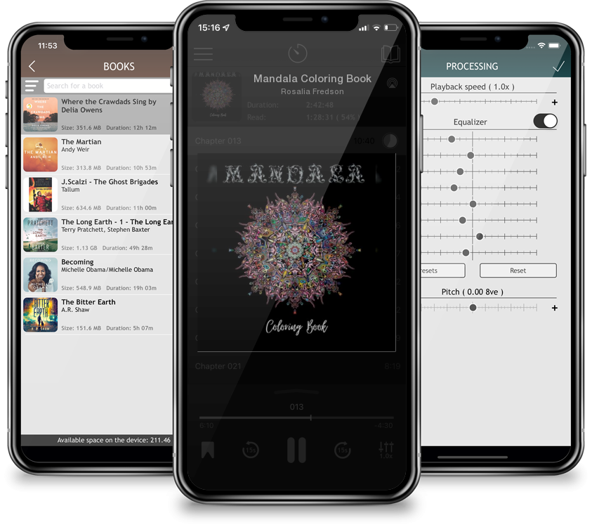 Audiobook Mandala Coloring Book by Rosalia Fredson