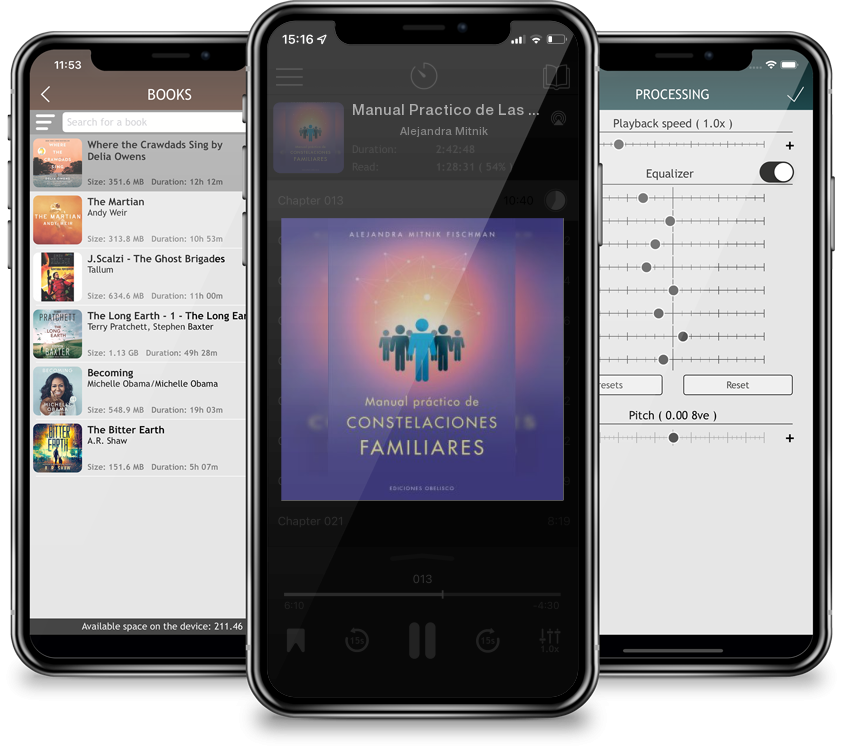 Audiobook Manual Practico de Las Constelaciones Familiares by Alejandra Mitnik